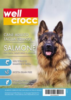Wellcrocc Cane Maxi Adult Grain Free Salmone Trota Patata Dolce Asparago Kg2