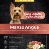 superfood manzo taglia piccola