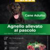 superfood agnello adulto