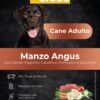 superfood manzo adulto