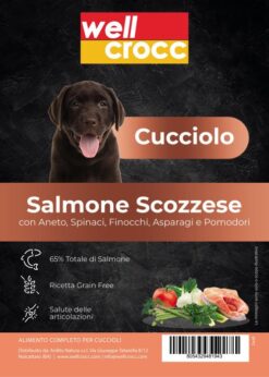 superfood salmone cucciolo