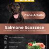 Superfood salmone adulto